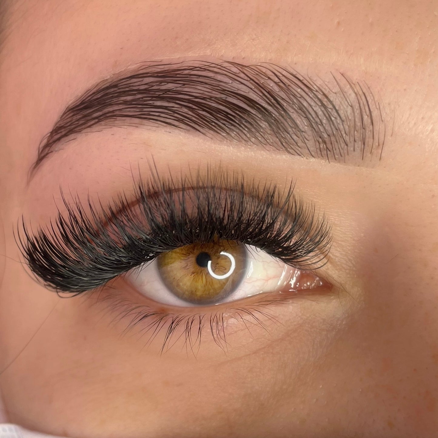 Brow Lamination, Tint, Wax Training